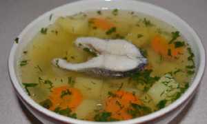 Уха из форели: рецепт