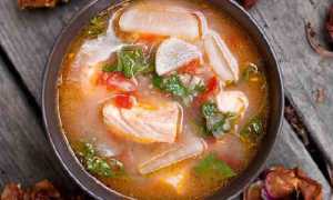 Уха из семги (7 самых вкусных рецептов)