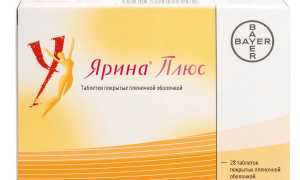 Ярина Плюс