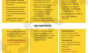 Белковая диета — суть в сокращении жиров и углеводов