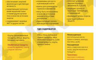 Белковая диета — суть в сокращении жиров и углеводов
