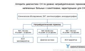 Развитие хронической сердечной недостаточности