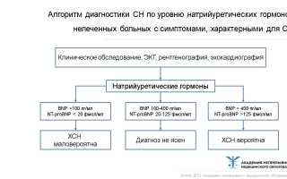 Развитие хронической сердечной недостаточности