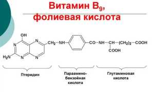 Фолиевая кислота (витамин B9, фолат)