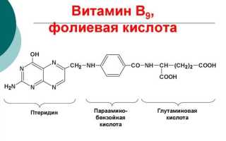 Фолиевая кислота (витамин B9, фолат)