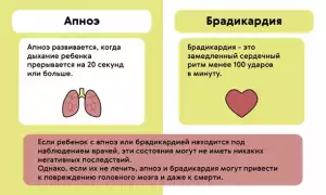 Эффективное лечение брадикардии народными средствами