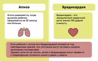 Эффективное лечение брадикардии народными средствами